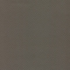 Gray leather background. Vintage fashion background for designers and composing collages. Luxury textured genuine leather of high quality.