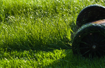 Lawn care green wet grass