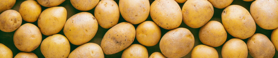 Close up of big white potatoes on market stand