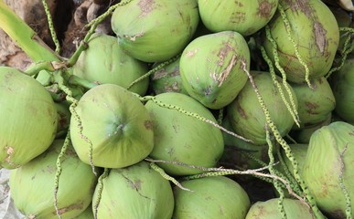 Coconut at street food