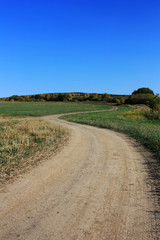 Dirt country road in the field