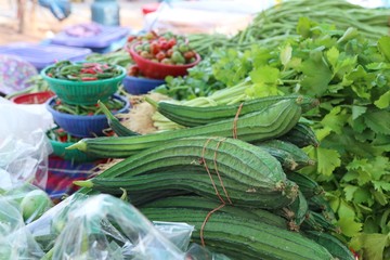 fresh luffa in market