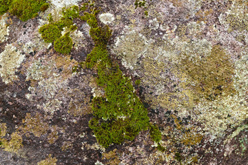 Texture of a granite stone III