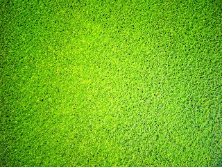 Green floating plants in the pond
