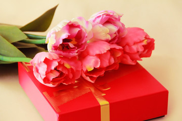 pink tulips red gift box for the holiday of March 8