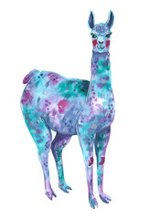 Blue dreamy cute llama, blue, purple and pink colors, hand drawn watercolor illustration