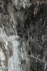 wood texture background closeup