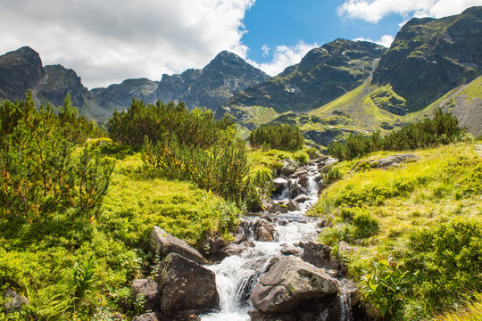 Fototapeta view to Tatra Mountains national park in Zakopane