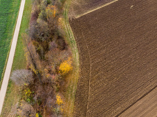 Feldrand von Oben - Luftaufnahme