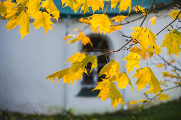 Autumn foliage and some chutch on background. sunny day.