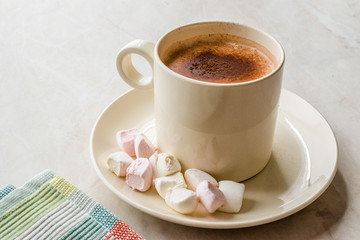 Healthy Homemade Milk Babyccino with Marshmallows and Cocoa / Cinnamon Powder
