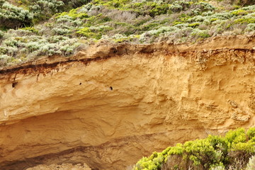 Coastline cliff formation