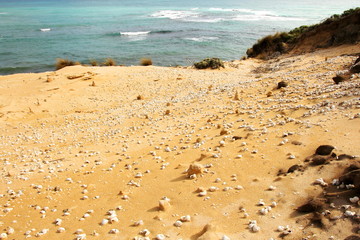 Australian rugged coastline