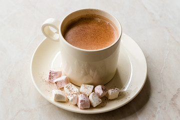 Healthy Homemade Milk Babyccino with Marshmallows and Cocoa / Cinnamon Powder