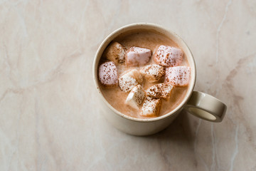 Obraz na płótnie Canvas Healthy Homemade Milk Babyccino with Marshmallows and Cocoa / Cinnamon Powder