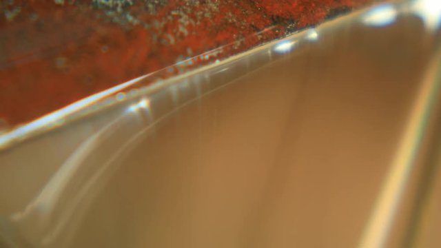 Close up of the sustainable macauba palm oil, being produced in the factory.