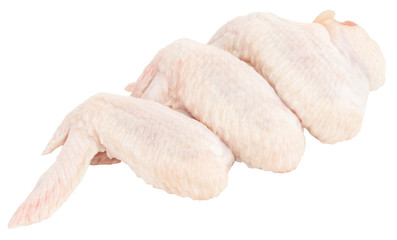 Raw chicken wings isolated on white background.  With clipping path