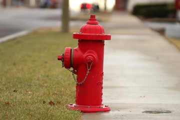 fire hydrant still life