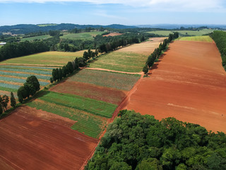 agro- hortifruti 