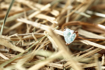 diamond ring on the Seine photo