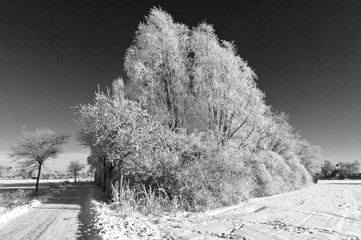 Winter am Niederrhein