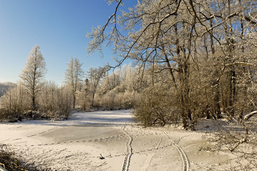 Winter am Niederrhein