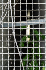 Obraz premium Old metal net