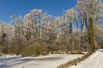 Winter am Niederrhein