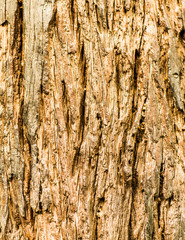 Old wooden surface