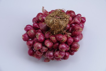 spanish onion on clear background 