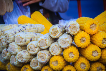 Close up boiled corn on street for sale in Bangkok, Thailand. Street vendor boiling and selling sweet corn on the cart. Boiled purple and yellow sweet corn are the popular street food in Bangkok.