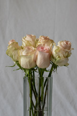 White and pink roses in a vase