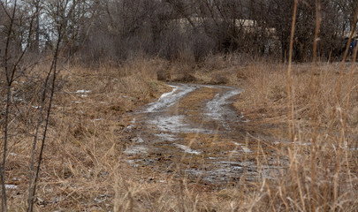 Dirt road leading into a field