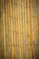 Abstract yellow dried bamboo boundary wall fence texture, bamboo wall background.