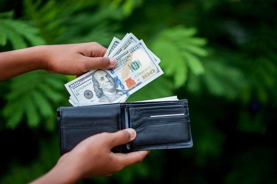Dollar hand and purse images Concept of business finance