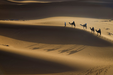 Fototapeta na wymiar Camel caravan in desert