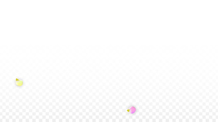 Vector Realistic Colorful Petals Falling on Transparent Background.  Spring Romantic Flowers Illustration. Flying Petals. Sakura Spa Design. Blossom Confetti. Design Elements for Wedding Decoration.