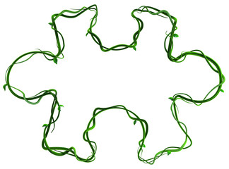 Plant Vines Green, Jigsaw Puzzle