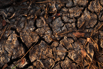 dry cracked soil closeup