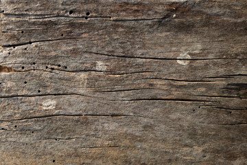 wood texture background closeup