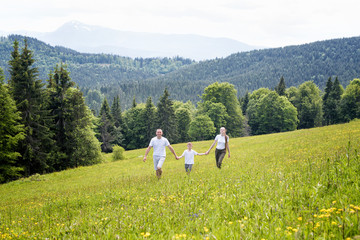 Fototapeta na wymiar Happy family: father with baby son and mother walk hand in hand over a green field against the background of a coniferous forest and mountains
