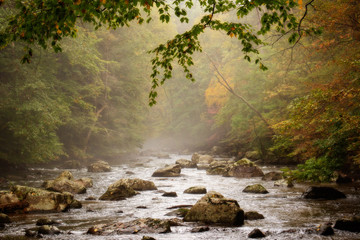 Mist on the river