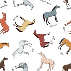 Horse color chart seamless pattern. Equine coat color with text. Equestrian scheme. Bay, sorrel, chestnut, grey, dun, dapple, type. Vector hand drawn cartoon. Silk fabric scarf style background