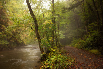 Fototapeta premium Road by a river