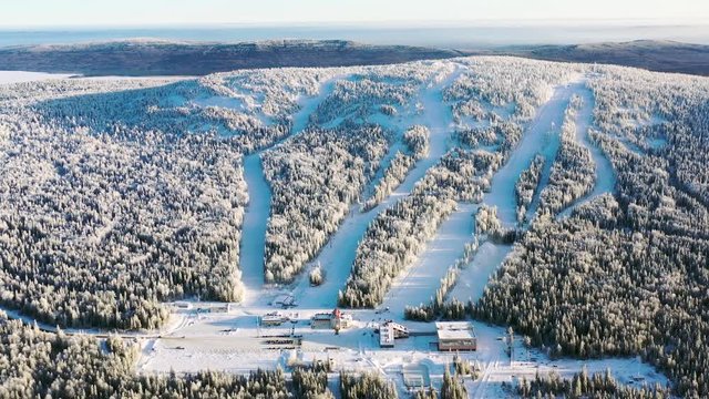 Aerial of the ski resort with funicular in the snowy forest in a sunny day. Footage. Winter landscape of snowy mountain slope among pine trees on blue sky background.