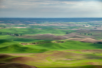 Fototapeta na wymiar Aerial view of the farmland in the Palouse region of Eastern Washington state, USA