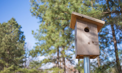 A single birdhouse with trees, blue sky, and simple shadows.