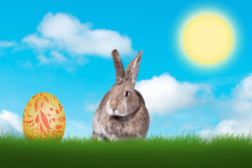 Osterhase auf einer grünen Wiese. Natur.