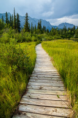 Fototapeta na wymiar A boardwalk along a hiking trail in Bow Valley Provincial Park, Alberta, Canada