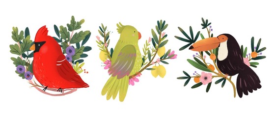 Obraz premium Set of three various birds sitting on the branches. Hand drawn colored illustration